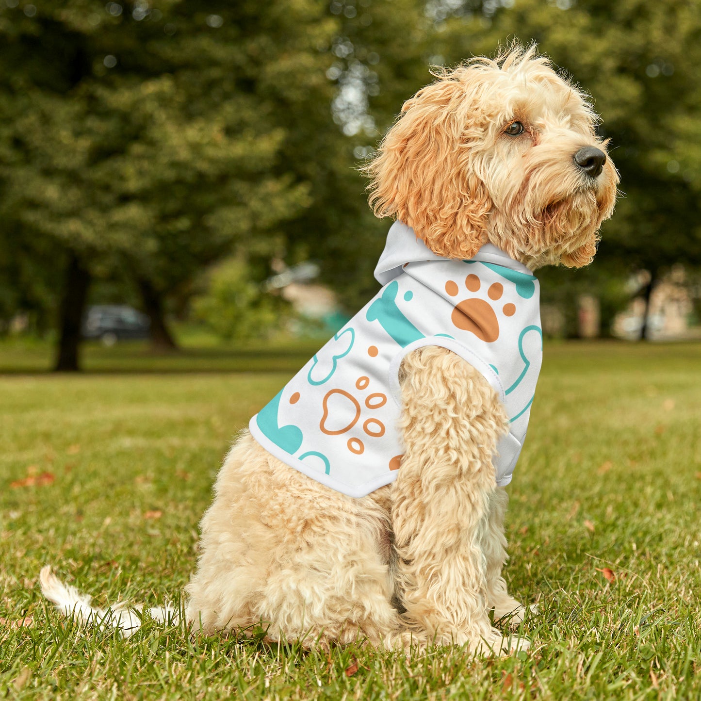 Dog Hoodie